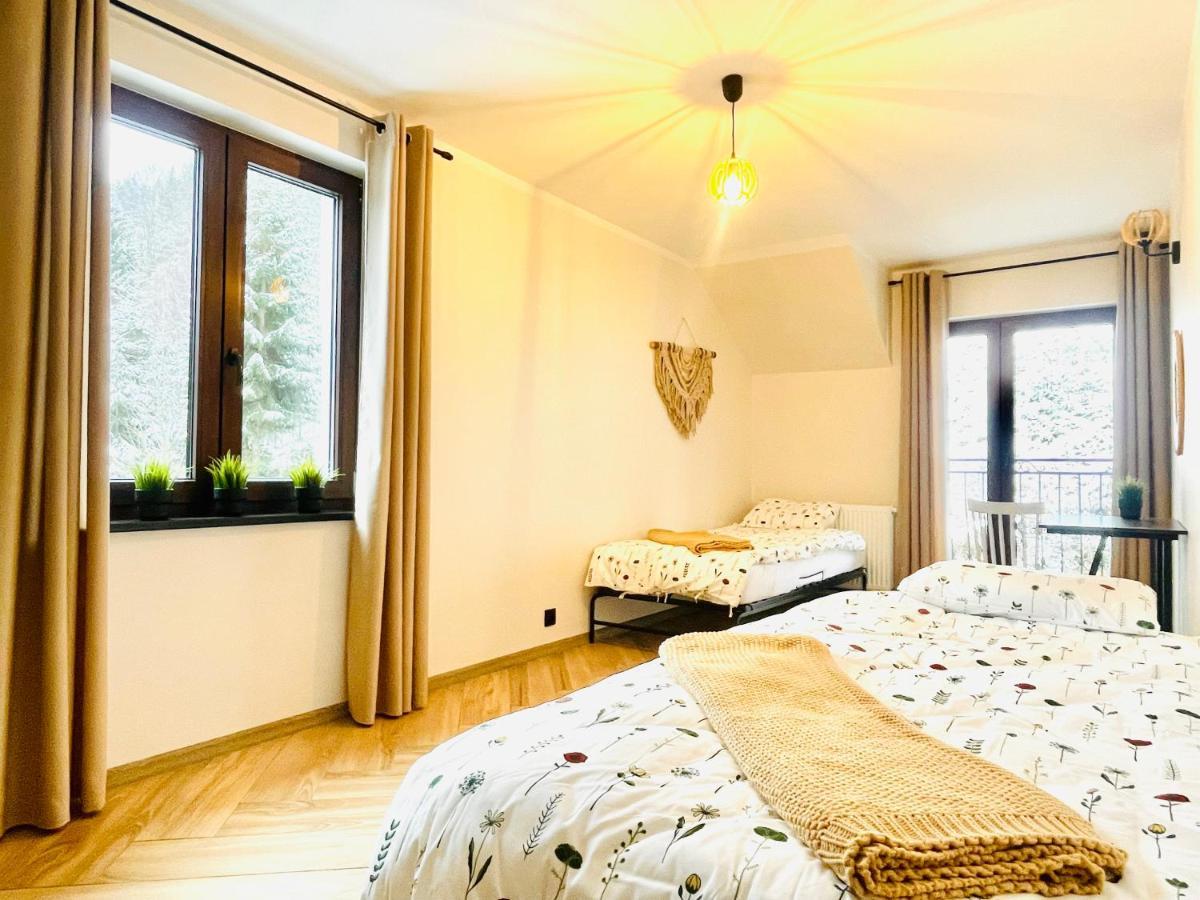 Gorska Cisza - Duzy, Komfortowy, Wyjatkowy Apartament Stronie Śląskie Kültér fotó
