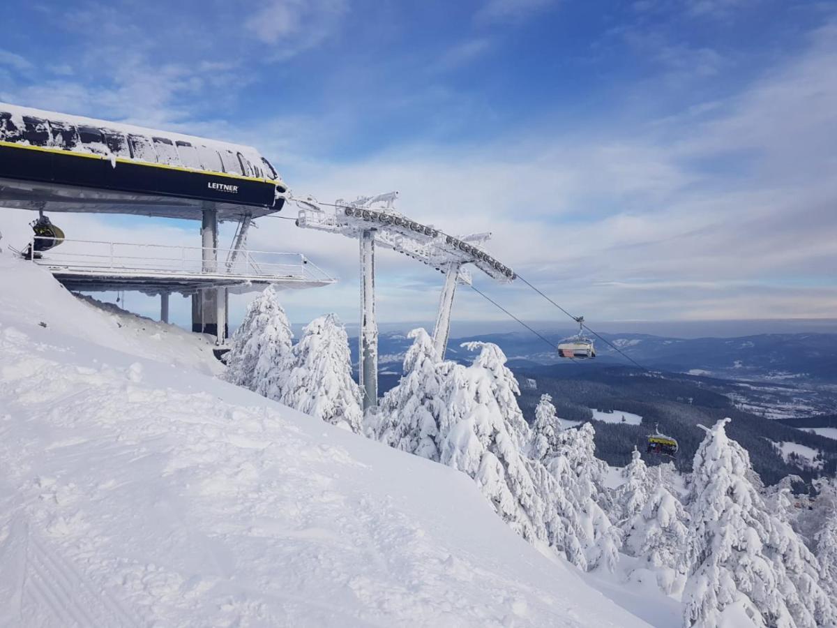 Gorska Cisza - Duzy, Komfortowy, Wyjatkowy Apartament Stronie Śląskie Kültér fotó
