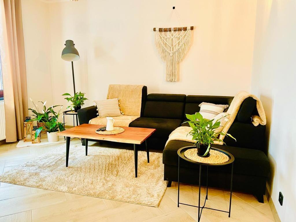 Gorska Cisza - Duzy, Komfortowy, Wyjatkowy Apartament Stronie Śląskie Kültér fotó