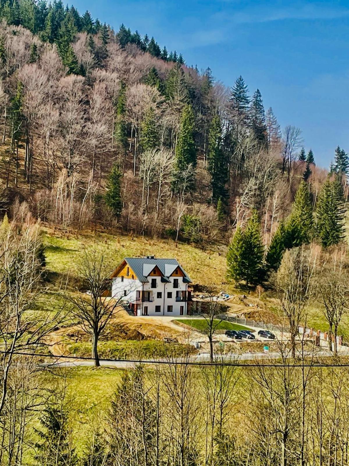 Gorska Cisza - Duzy, Komfortowy, Wyjatkowy Apartament Stronie Śląskie Kültér fotó