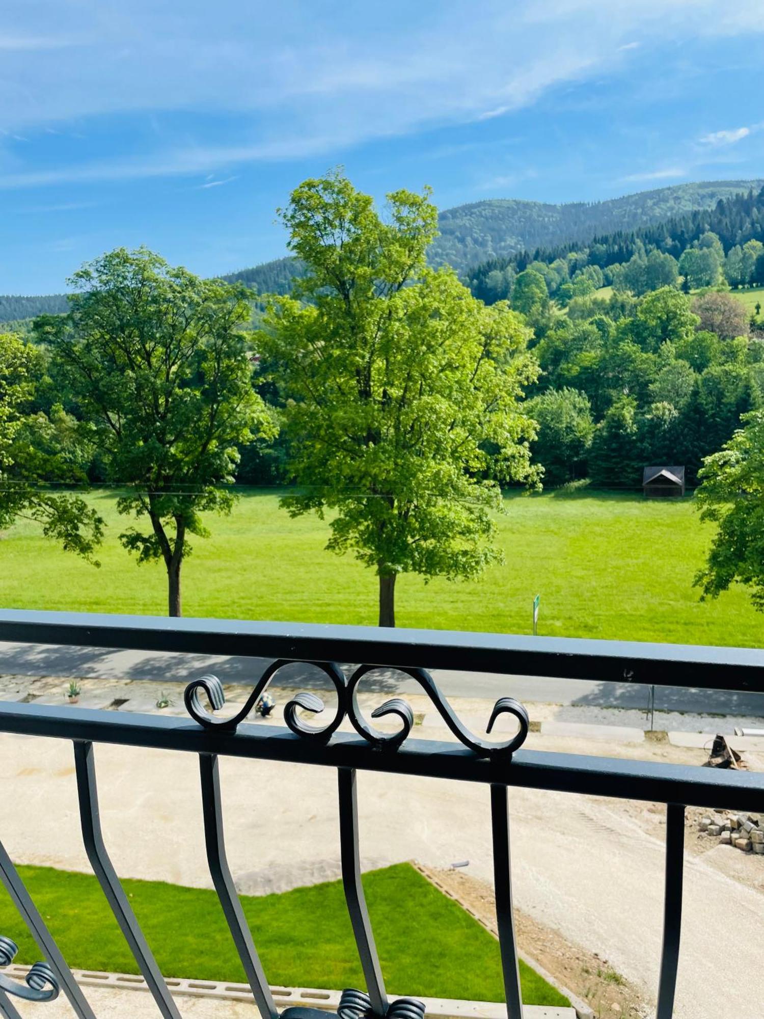 Gorska Cisza - Duzy, Komfortowy, Wyjatkowy Apartament Stronie Śląskie Kültér fotó